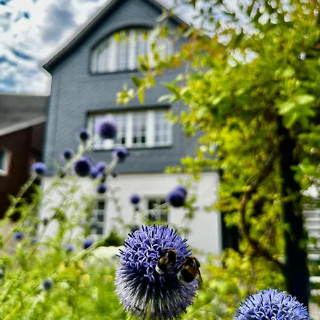 Apartment Marktquartier 5