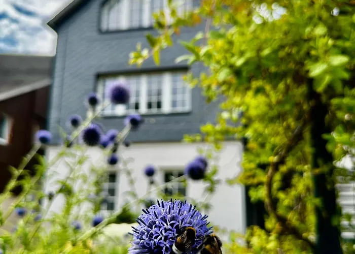 아파트 Marktquartier 5