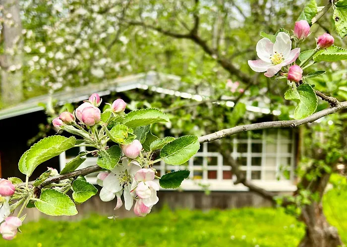 Marktquartier 5 아파트 *